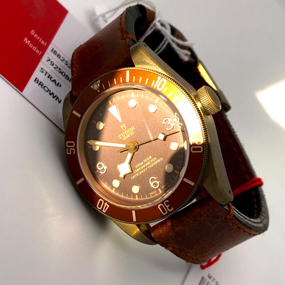 TUDOR Mens Bronze/ Brown #M79250BM Leather Watch
